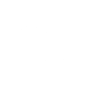 The Voicecraft Network